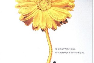 天津房产交易网 珠海房地产网